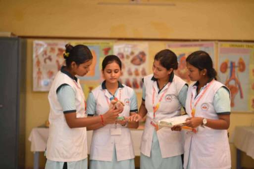 WordPress for Everyone: Unlock Your Creativity Online